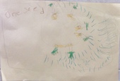 Kid’s Art of One Seed