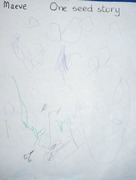 Kid’s Art of One Seed